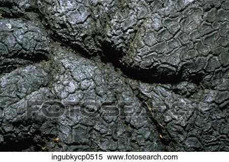 Close-up of the surface of molten rock View Large Photo Image Stock Photography - Close-up of the surface of molten rock. Fotosearch