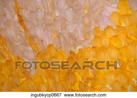 Close-up of the surface of precious stones View Large Photo Image Stock Photo - Close-up of the surface of precious stones. Fotosearch