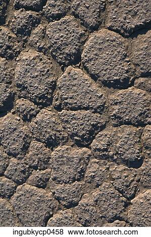 Close-up of the surface of rocks View Large Photo Image Stock Photo - Close-up of the surface of rocks. Fotosearch