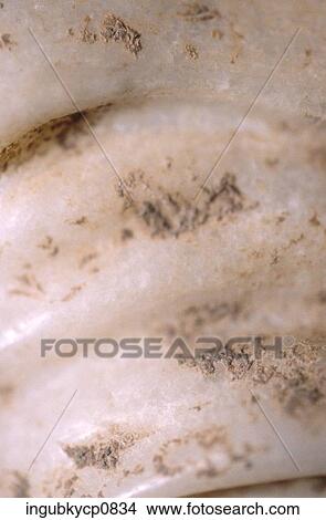 Close-up of the surface of stone View Large Photo Image Picture - Close-up of the surface of stone. Fotosearch