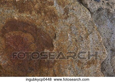 Close-up of the surface of stone View Large Photo Image Stock Photo - Close-up of the surface of stone. Fotosearch