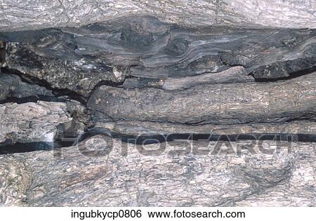 Close-up of water running in the groove of a rock formation View Large Photo Image Stock Photograph - Close-up of water running in the groove of a rock formation. Fotosearch