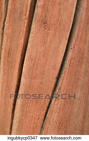 Close-up of wooden planks View Large Photo Image Stock Photo - Close-up of wooden planks. Fotosearch
