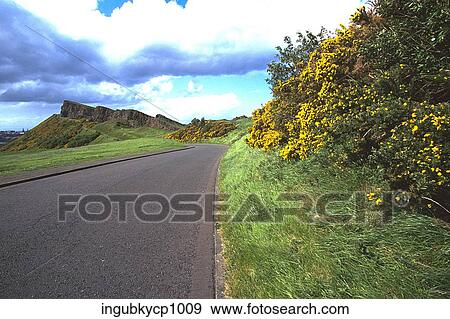 Stock Photo - High angle view of an empty country road. Fotosearch
