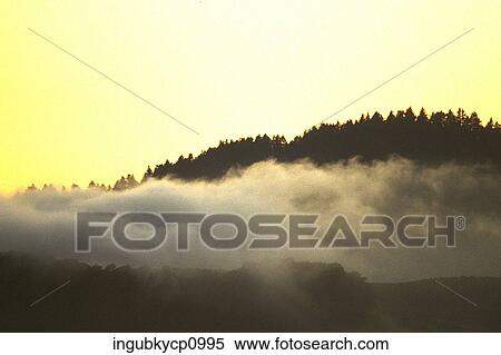 High angle view of clouds on a hilltop View Large Photo Image Stock Photography - High angle view of clouds on a hilltop. Fotosearch