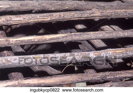High angle view of logs of wood View Large Photo Image Stock Image - High angle view of logs of wood. Fotosearch