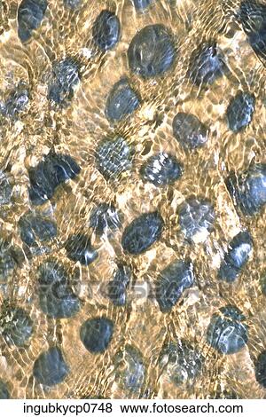High angle view of rocks under the surface of water View Large Photo Image Stock Photo - High angle view of rocks under the surface of water. Fotosearch