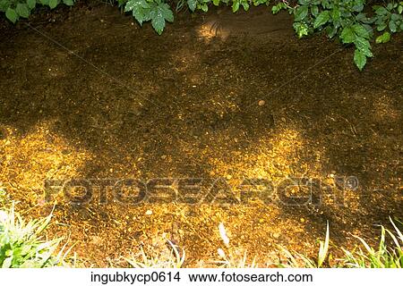 High angle view of soil in a garden View Large Photo Image Picture - High angle view of soil in a garden. Fotosearch