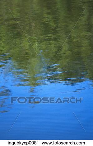 Stock Image - High angle view of the reflection of trees on water. Fotosearch