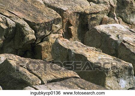 High angle view of the surface of rocks View Large Photo Image Stock Photograph - High angle view of the surface of rocks. Fotosearch