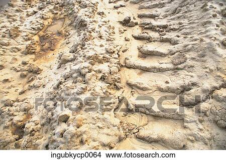 High angle view of tire tracks on a sandy surface View Large Photo Image Picture - High angle view of tire tracks on a sandy surface. Fotosearch