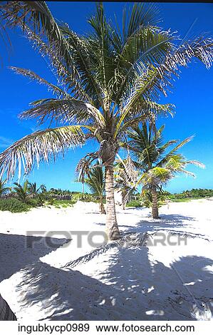 Panoramic view of an empty beach View Large Photo Image Stock Photo - Panoramic view of an empty beach. Fotosearch