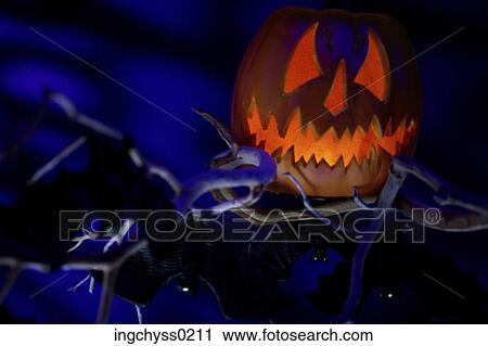 branch, spooky, facial, glow, life, object View Large Photo Image Stock Image - branch, spooky, facial, glow, life, object. Fotosearch
