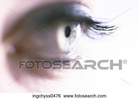 Brown, eye, One Person, Make Up, Part Of, Human Eye View Large Photo Image Stock Photograph - Brown, eye, One Person, Make Up, Part Of, Human Eye. Fotosearch