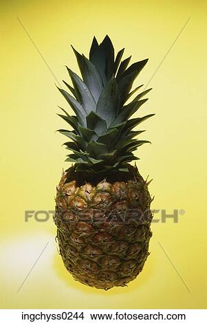 eating, shadow, Healthy Eating, One Object, Food and Drink, Colored Background, yellow View Large Photo Image Picture - eating, shadow, Healthy Eating, One Object, Food and Drink, Colored Background, yellow. Fotosearch