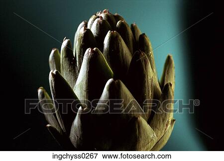 eating, shadow, healthy, still, shot, food, background View Large Photo Image Stock Photo - eating, shadow, healthy, still, shot, food, background. Fotosearch