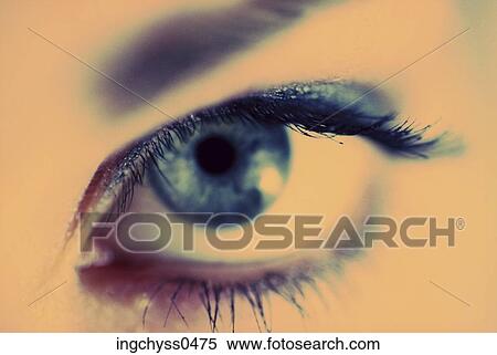 eye, woman, eyebrow, eyelash, Young Adult, close up, sensory perception View Large Photo Image Stock Photography - eye, woman, eyebrow, eyelash, Young Adult, close up, sensory perception. Fotosearch