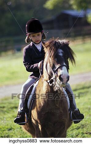 Stock Image - Field, grass, ride, casual, pride, work, animal. Fotosearch