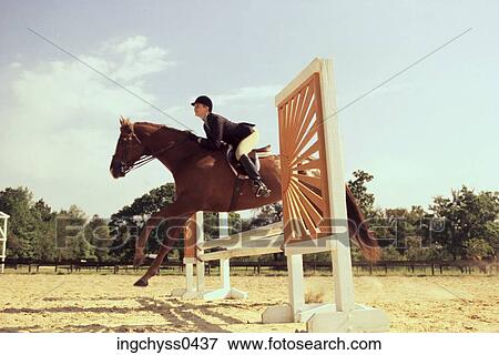 Field, tree, skill, boot, working, jockey, domestic View Large Photo Image Stock Photo - Field, tree, skill, boot, working, jockey, domestic. Fotosearch