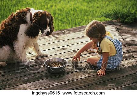 grass, Brown, casual, denim, animal, togetherness, activity View Large Photo Image Stock Photography - grass, Brown, casual, denim, animal, togetherness, activity. Fotosearch