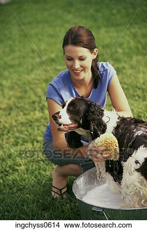 grass, Brown, joy, casual, tub, washing, animal View Large Photo Image Picture - grass, Brown, joy, casual, tub, washing, animal. Fotosearch