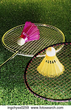 green, lawn, badminton, shuttlecock, things View Large Photo Image Stock Photo - green, lawn, badminton, shuttlecock, things. Fotosearch