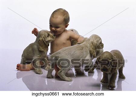 group, white, full, looking down, innocence, animal, indoors View Large Photo Image Stock Image - group, white, full, looking down, innocence, animal, indoors. Fotosearch