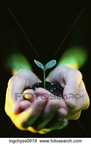 hands, gardening, body parts, soil, hobby View Large Photo Image Stock Photo - hands, gardening, body parts, soil, hobby. Fotosearch