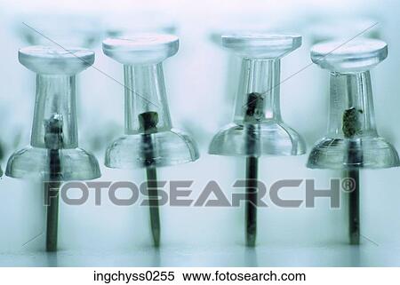 reflection, pattern, still, shot, business, row, order View Large Photo Image Stock Photography - reflection, pattern, still, shot, business, row, order. Fotosearch