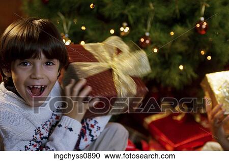 tree, Brown, warm, happiness, joy, front, tied View Large Photo Image Stock Image - tree, Brown, warm, happiness, joy, front, tied. Fotosearch
