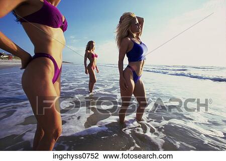 women, people, together, Young Adult View Large Photo Image Stock Image - women, people, together, Young Adult. Fotosearch