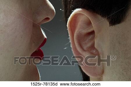 body parts View Large Photo Image Stock Image - body parts. Fotosearch