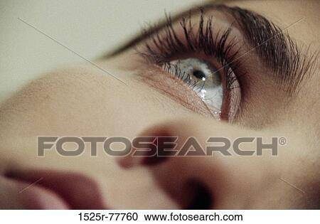 eye, body parts, close-up, close up, straightforward View Large Photo Image Stock Image - eye, body parts, close-up, close up, straightforward. Fotosearch