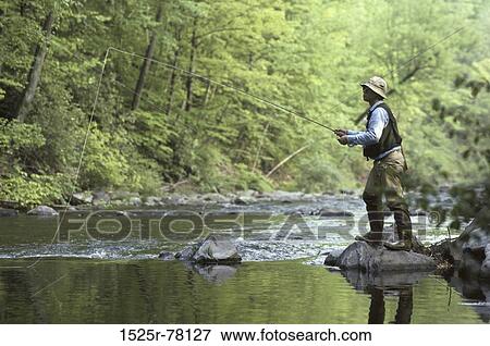 fish, rock, reflection, water, trees View Large Photo Image Stock Photo - fish, rock, reflection, water, trees. Fotosearch