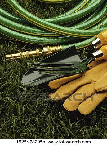 gardening, hobby View Large Photo Image Stock Image - gardening, hobby. Fotosearch