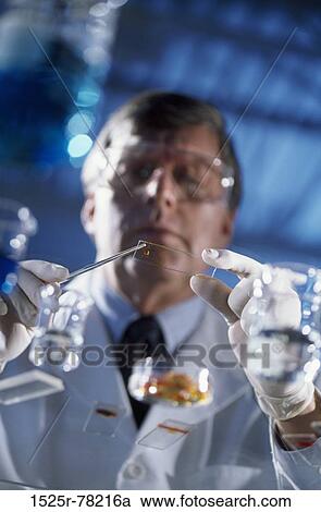 people, industry, scientist, research, Middle-aged, science View Large Photo Image Stock Image - people, industry, scientist, research, Middle-aged, science. Fotosearch