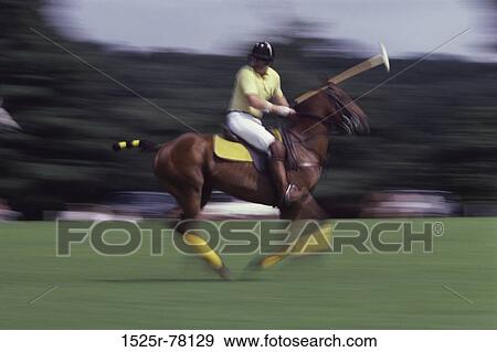 Polo Player View Large Photo Image Stock Photo - Polo Player. Fotosearch