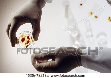 sample, hands, industry, research, science, experiment View Large Photo Image Stock Image - sample, hands, industry, research, science, experiment. Fotosearch
