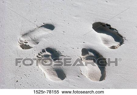 sand, couple, beach, barefoot, still life, footprints View Large Photo Image Stock Photography - sand, couple, beach, barefoot, still life, footprints. Fotosearch