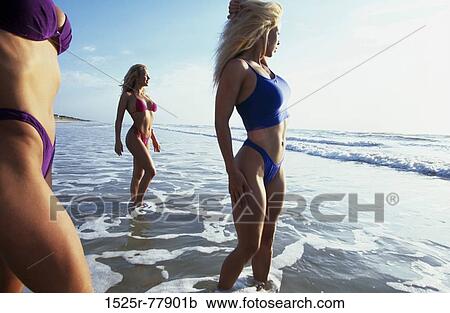 Side profile of three young women wearing bikinis on the beach View Large Photo Image Stock Image - Side profile of three young women wearing bikinis on the beach. Fotosearch