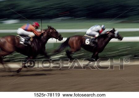 Stock Photo - speed, racing, sports, equestrian, motion, animals. Fotosearch