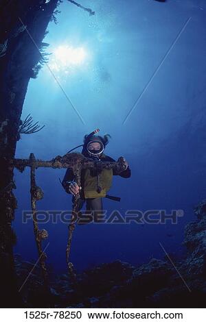 sports, water sports, scuba, scuba diving View Large Photo Image Stock Image - sports, water sports, scuba, scuba diving. Fotosearch