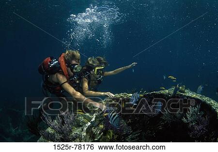 sports, water sports, scuba, scuba diving View Large Photo Image Stock Photograph - sports, water sports, scuba, scuba diving. Fotosearch