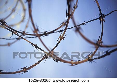 Close-up of a barbed wire fence View Large Photo Image Stock Photography - Close-up of a barbed wire fence. Fotosearch