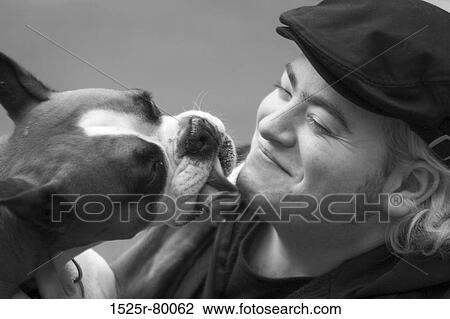 Close-up of a dog licking a young man's face View Large Photo Image Stock Image - Close-up of a dog licking a young man's face. Fotosearch