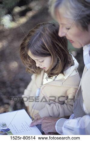 Close-up of a granddaughter reading book with her grandmother View Large Photo Image Picture - Close-up of a granddaughter reading book with her grandmother. Fotosearch