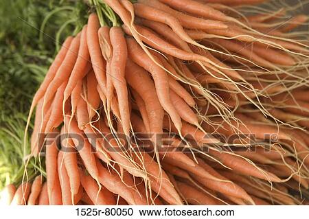Stock Image - Close-up of a heap of carrot. Fotosearch