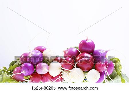Close-up of a heap of radishes View Large Photo Image Stock Photography - Close-up of a heap of radishes. Fotosearch