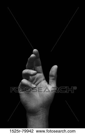 Close-up of a person's hand View Large Photo Image Stock Image - Close-up of a person's hand. Fotosearch