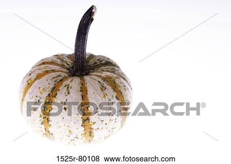 Close-up of a pumpkin View Large Photo Image Stock Photo - Close-up of a pumpkin. Fotosearch